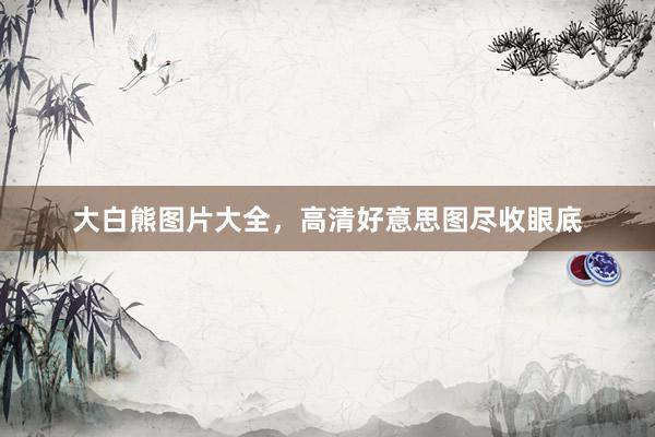 大白熊图片大全，高清好意思图尽收眼底